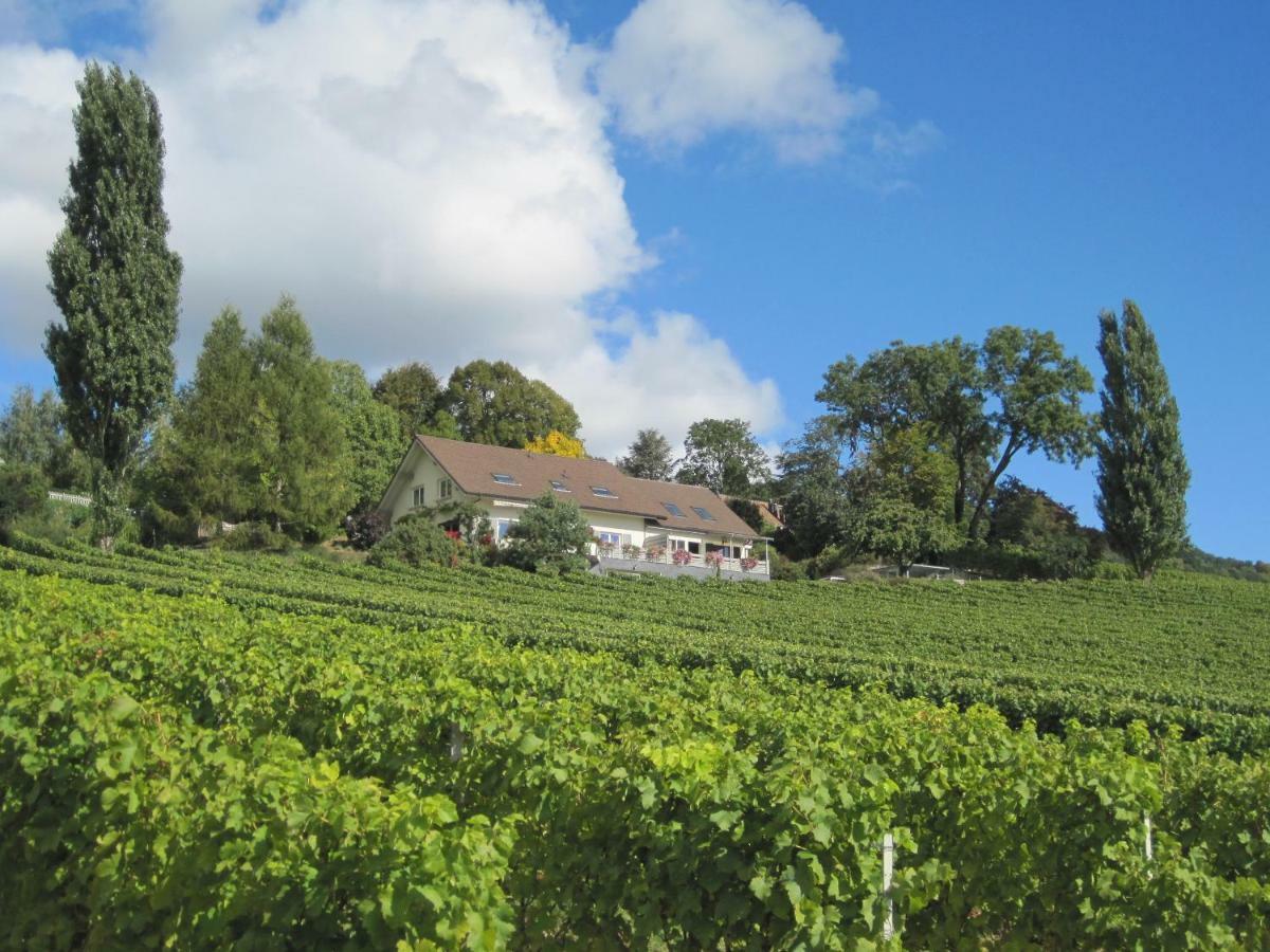 Domaine Beauregard Hotell Rolle Exteriör bild